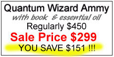Quantum Wizard, Dragon's Blood Essential Oil and Parallel Worlds Explored, regularly 450, sale price 299, you save 151